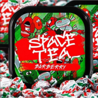 Чайная смесь Space Tea (Спейс Ти) 100 гр. - Barberry (Барбарис)