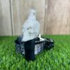 Персональный мундштук Vibe Hookah Skull White – Стиль и Индивидуальность Персональный мундштук Vibe Hookah Skull White – Стиль и Индивидуальность - 4